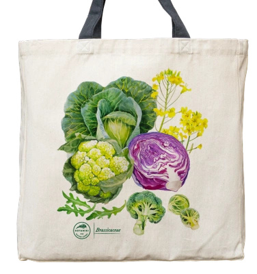 Cruciferous vegetables — premium cotton bag