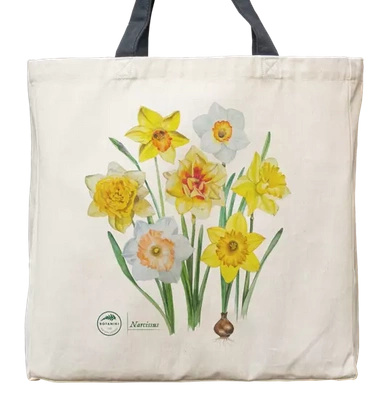 Daffodils — premium cotton bag