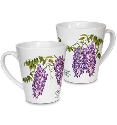 Chinese wisteria 'Prolific' — latte mug