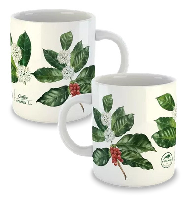 Coffea arabica — classic mug