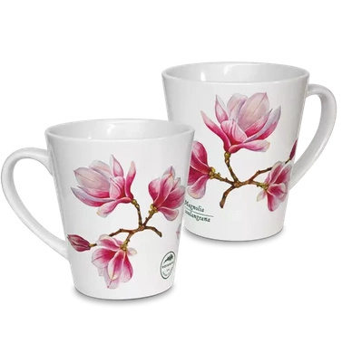 Saucer magnolia — latte mug