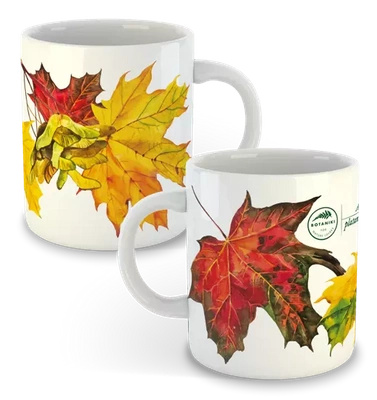 Norway maple — classic mug