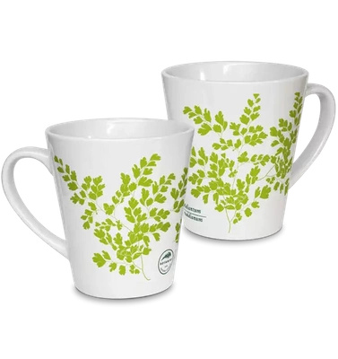 Maidenhair fern — latte mug