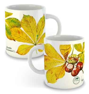 Horse chestnut — classic mug