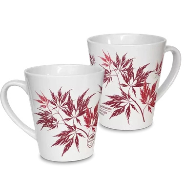 Acer Dissectum Garneta — latte mug