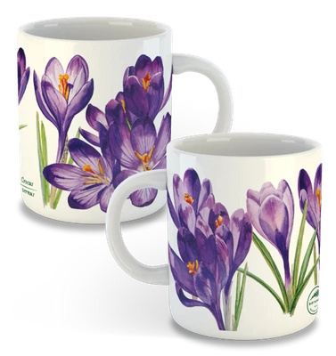 Spring crocus — classic mug