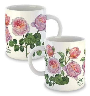 'Queen of Sweden' rose — classic mug