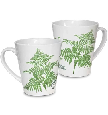 Eagle fern — latte mug