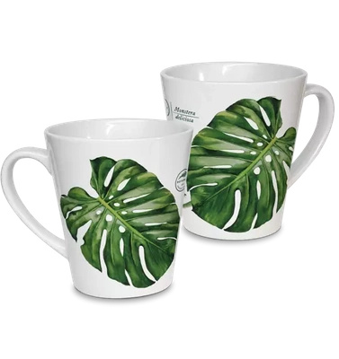 Swiss cheese plant — latte mug