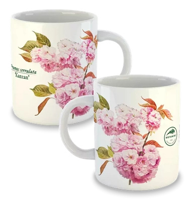 Cherry blossom 'Kanzan' — classic mug