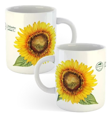 Common sunflower — classic mug gift for a gardener