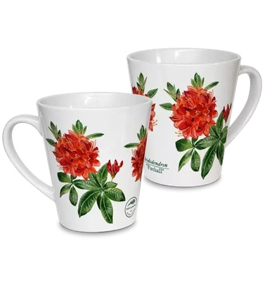 Rhododendron 'Fireball' — latte mug