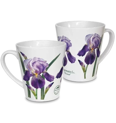 Bearded iris 'Alcazar' — latte mug