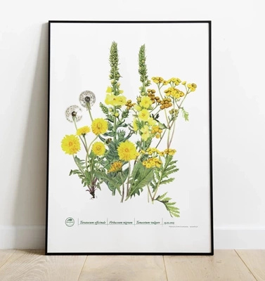 Golden herbs — plant motif poster