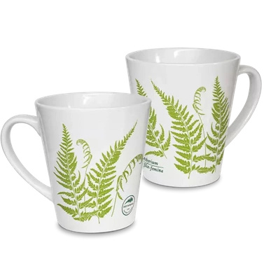 Lady fern — latte mug