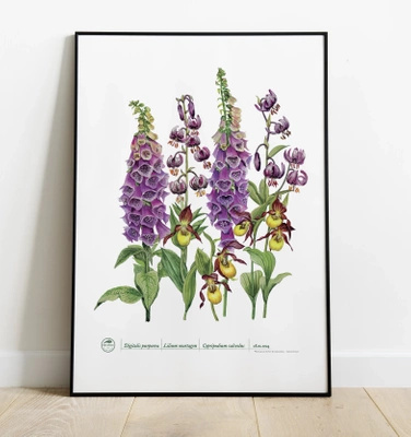 Forest flowers — plant motif poster