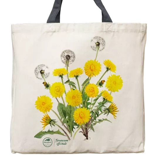 Dandelion — cotton bag