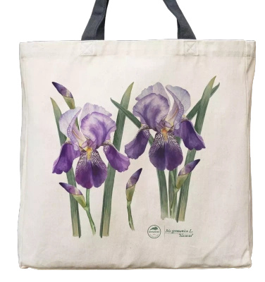 Bearded iris 'Alcazar' — premium cotton bag