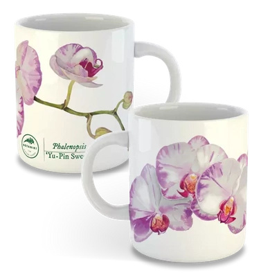 Orchid phalaenopsis — classic mug