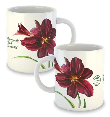 Daylilies 'Black Emanuelle' — classic mug