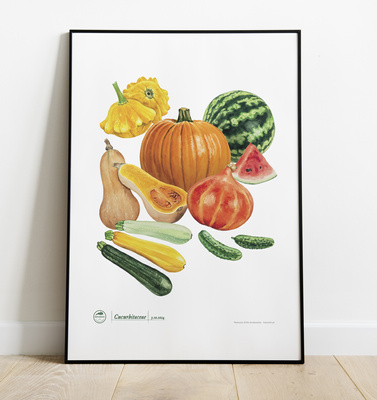 Cucurbit vegetables — plant motif poster