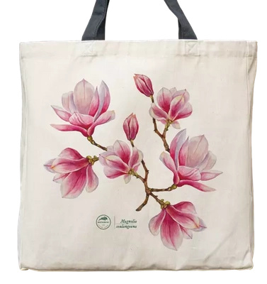 Saucer magnolia — premium cotton bag