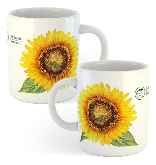 Common sunflower — classic mug gift for a gardener