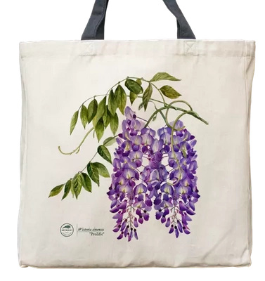 Chinese wisteria 'Prolific' — premium cotton bag