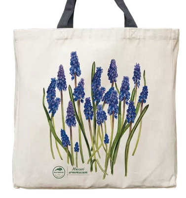 Armenian grape hyacinth — premium cotton bag