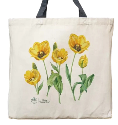 Tulip 'Crystal Star' — premium cotton bag