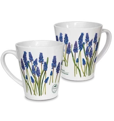 Armenian grape hyacinth — latte mug