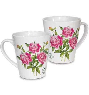 Chinese peony 'Sorbet' — latte mug