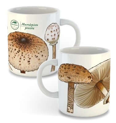 Parasol mushroom — classic mug