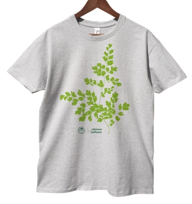 Maidenhair fern — unisex classic t-shirt