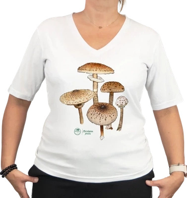 Parasol mushroom — premium  t-shirt