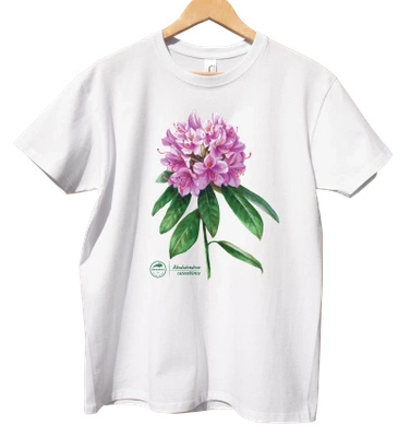 Catawba rosebay — t-shirt classic