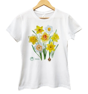 Daffodils — women's t-shirt