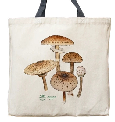 Parasol mushroom — premium cotton bag