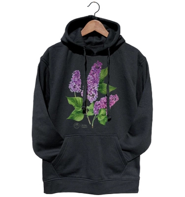 Common lilac — hoodie