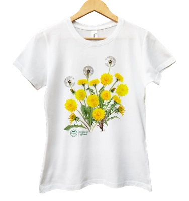 Dandelion — women's t-shirt