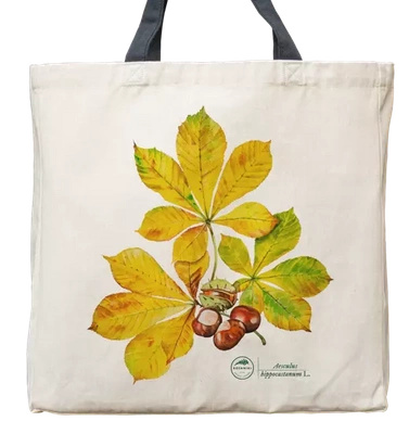 Horse chestnut — premium cotton bag