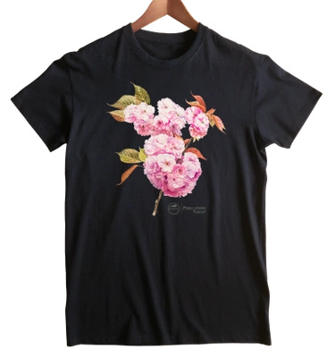 Cherry blossom 'Kanzan' — classic unisex t-shirt