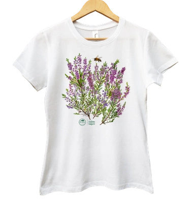 Common heather — women's t-shirt