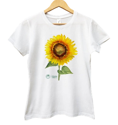 Common sunflower — women's t-shirt