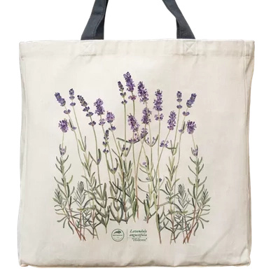 Lavender 'Hidcote' — premium cotton bag