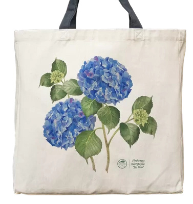 Hydrangea 'Jip Blue' — premium cotton bag