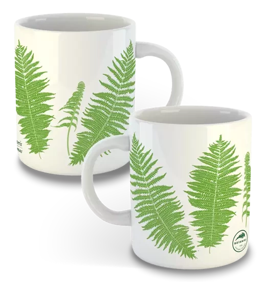 Male fern — classic mug