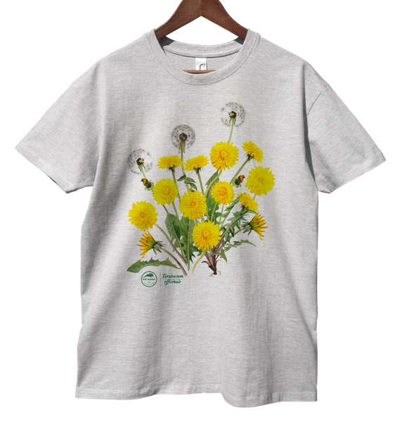 Dandelion — classic t-shirt