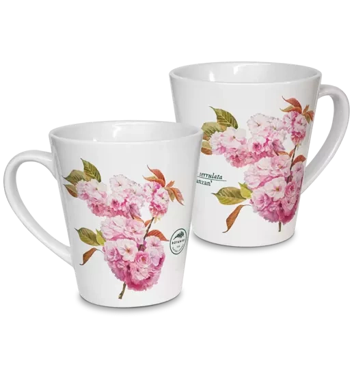 Cherry blossom 'Kanzan' — latte mug