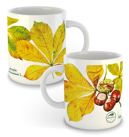 Horse chestnut — classic mug
